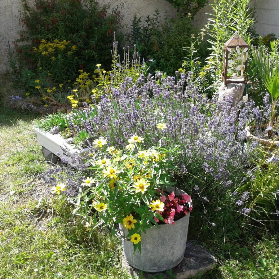 Le Coq En Pate Bed & Breakfast Romilly-sur-Seine Luaran gambar